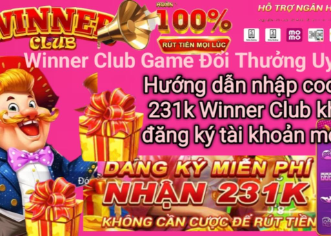 Hướng dẫn nhập code 231k Winner Club chi tiết.