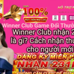 Cách nhận code 231k Winner Club nhanh nhất 2026 cho người mới